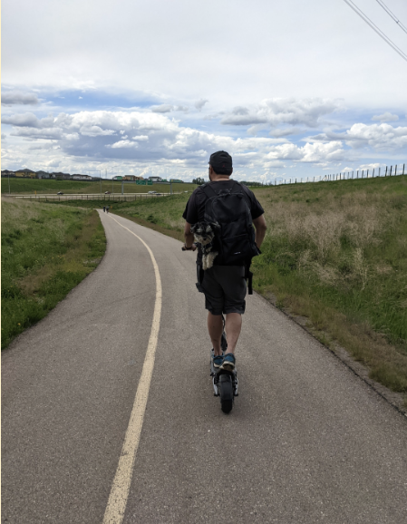 Summer Scooter Riding: Prevent Battery & Motor Overheating
