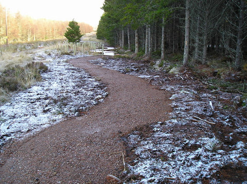 Trail