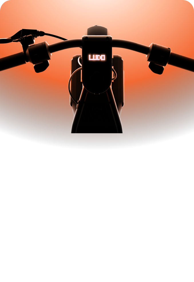 LUDO MODE